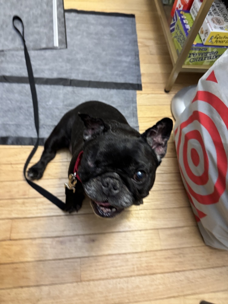 Kali