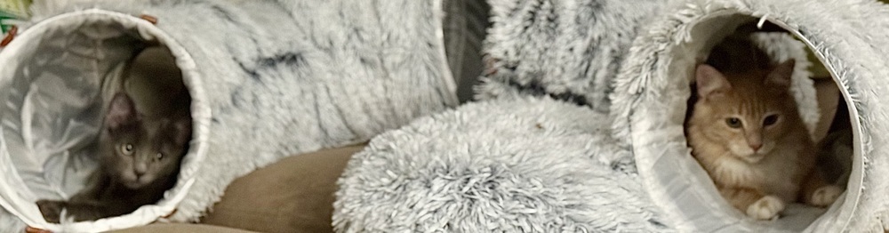 Pebbles