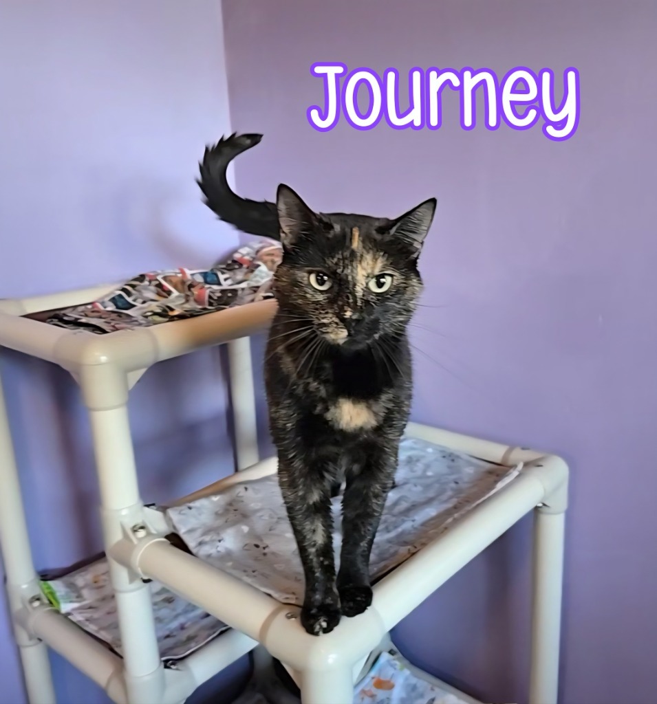 Journey