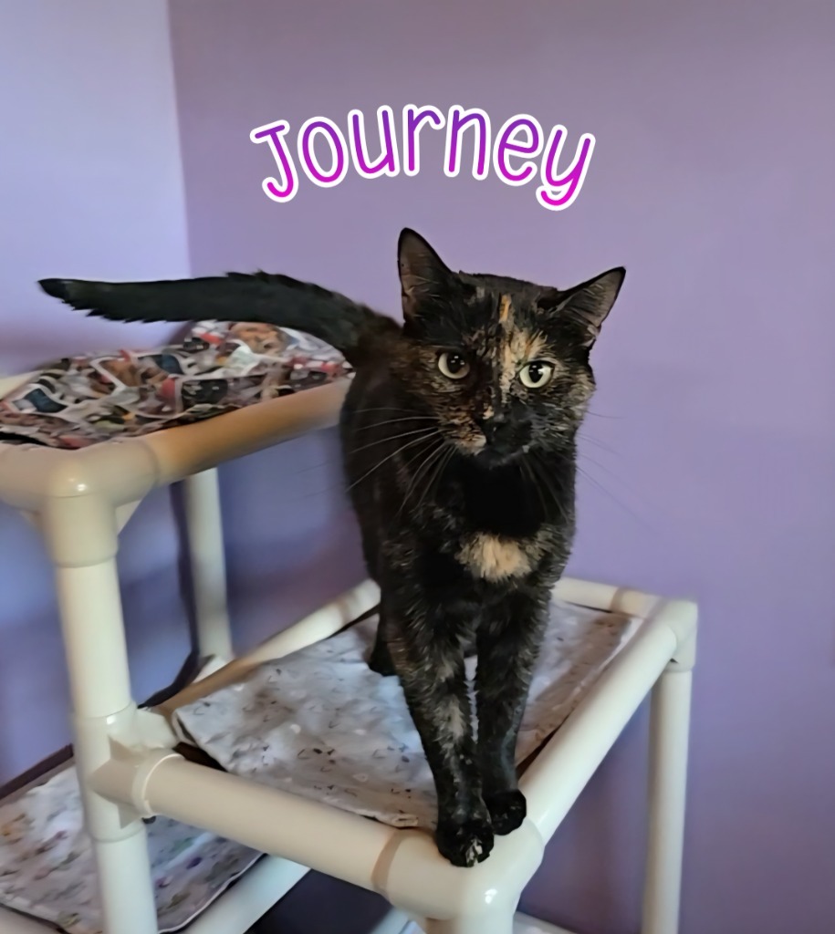 Journey