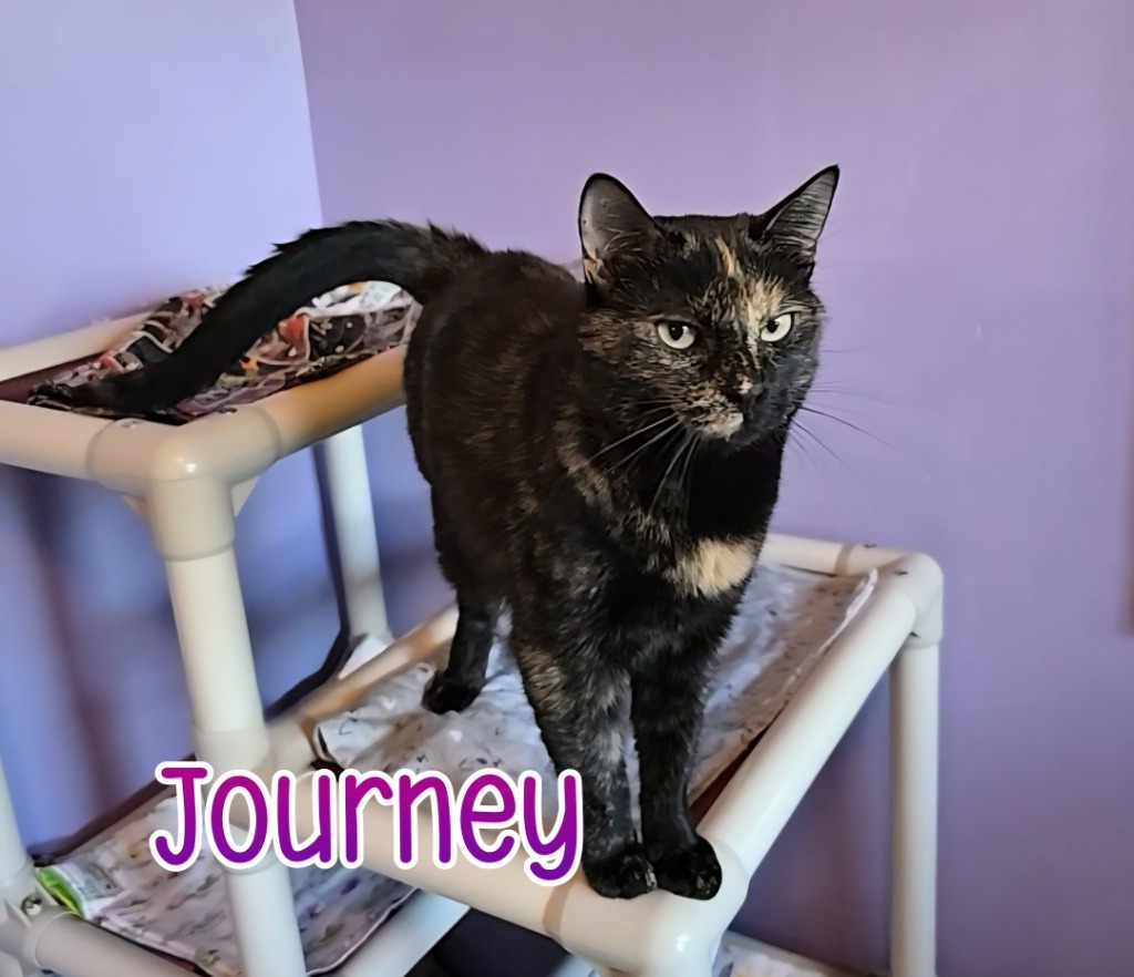 Journey
