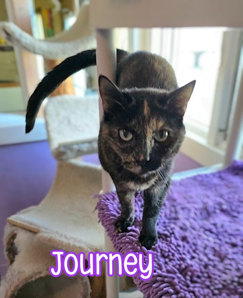 Journey