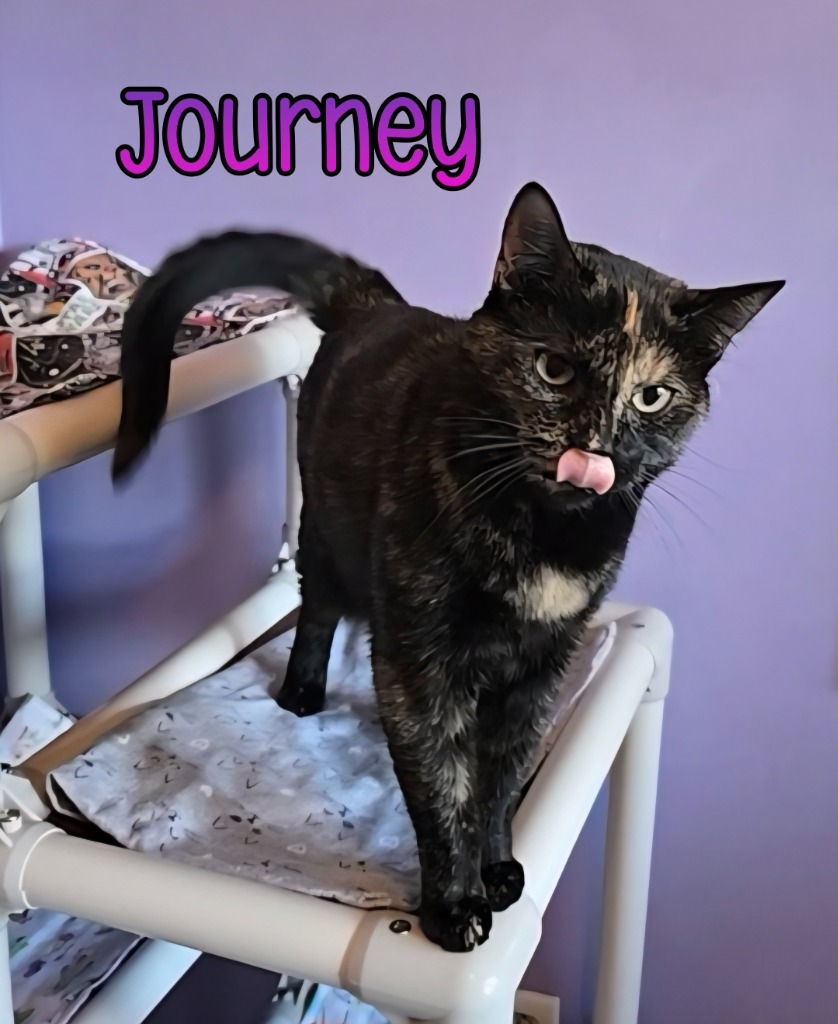 Journey