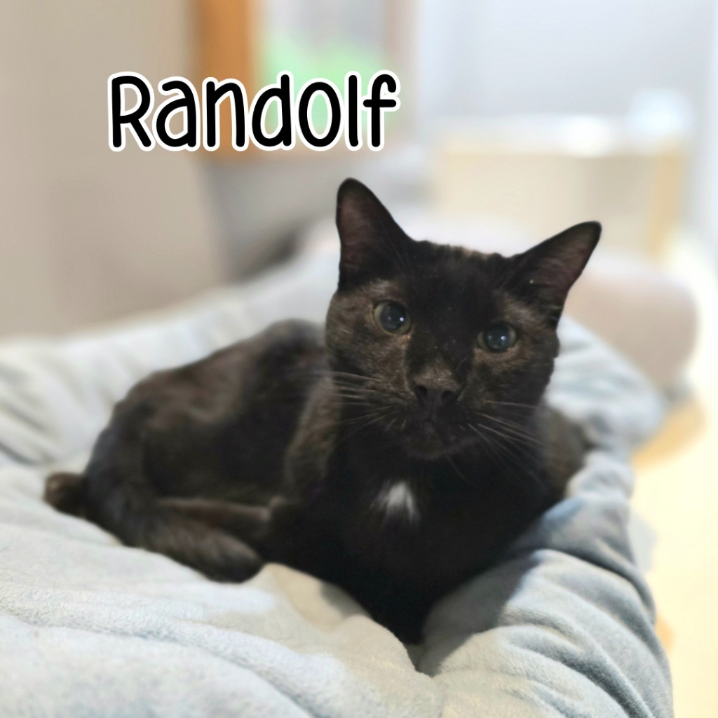 Randolf