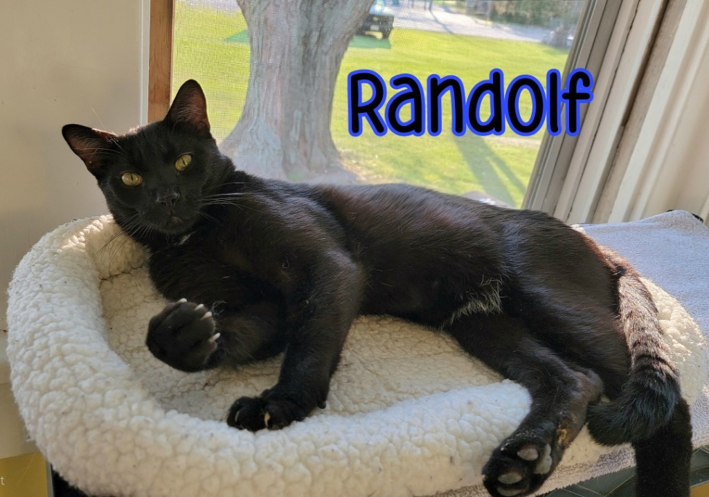 Randolf