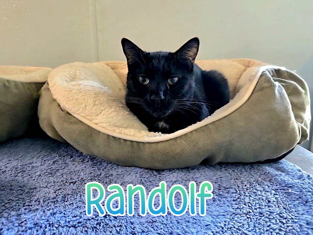 Randolf