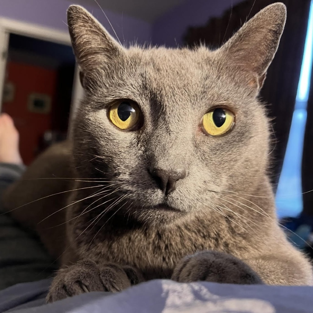 Hunter