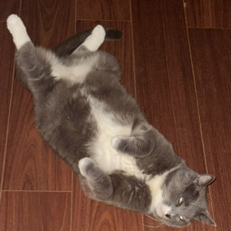 Tom 3