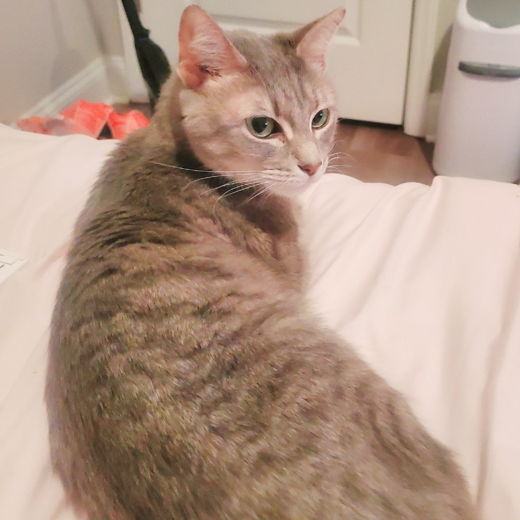 Penelope Lee