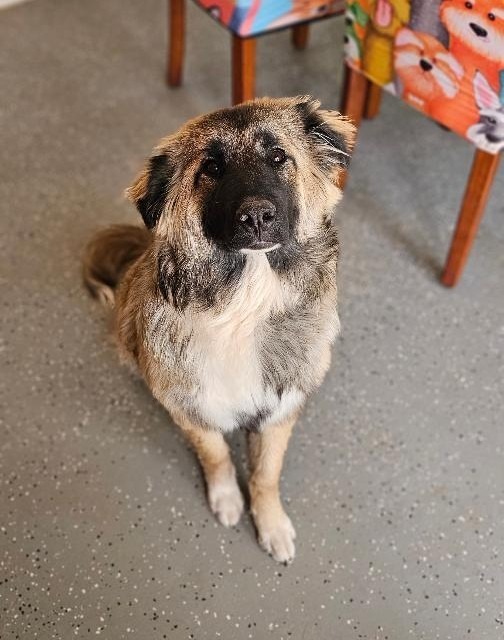 Kiska