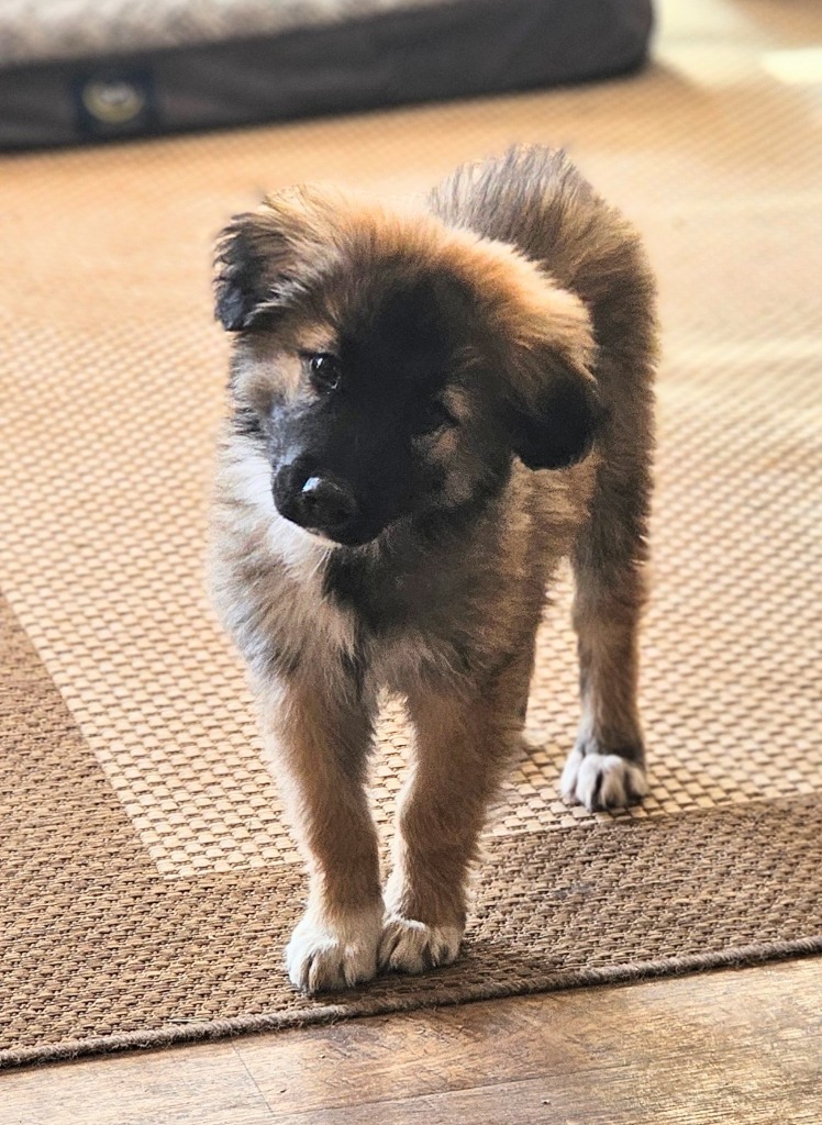 Kiska