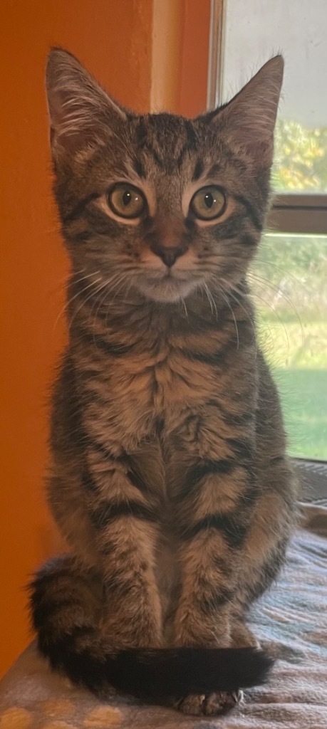 RALPHIE
