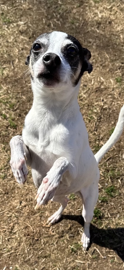 Buster
