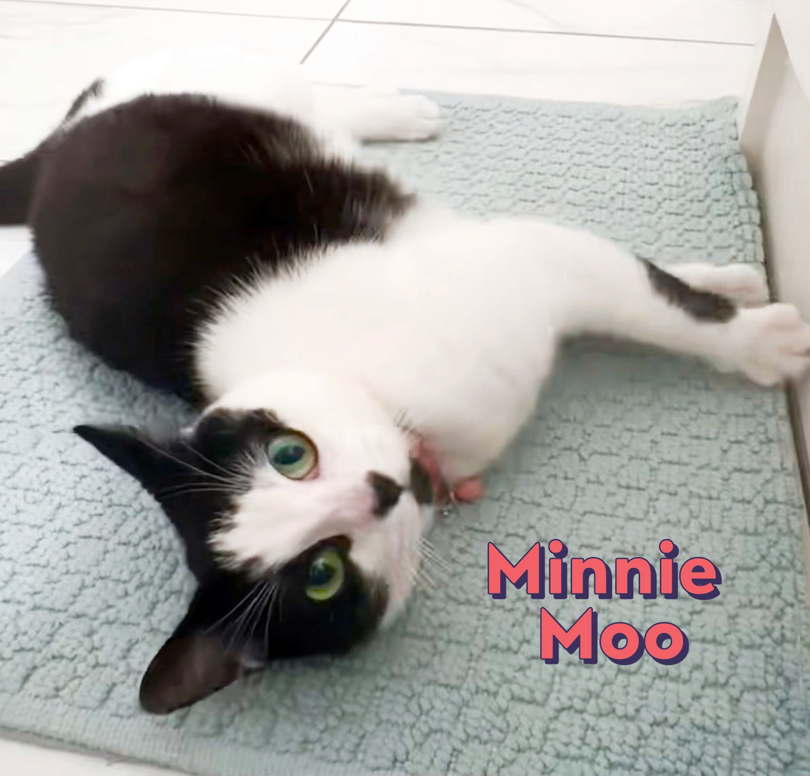 Minnie Moo #love-machine