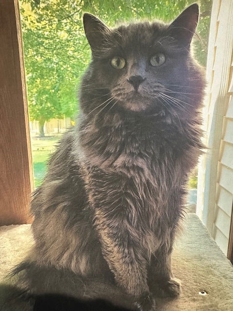 Fluffy