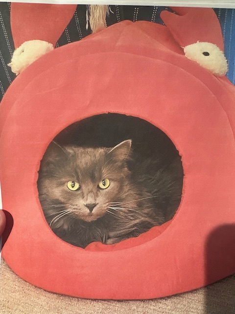 Fluffy