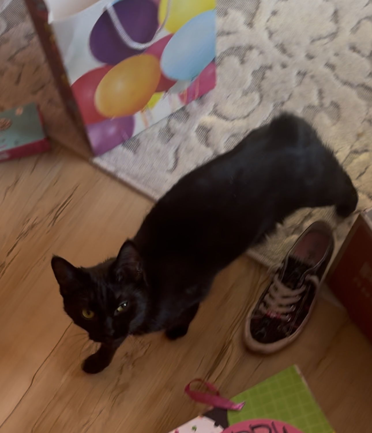 Bear bonded with Mimi