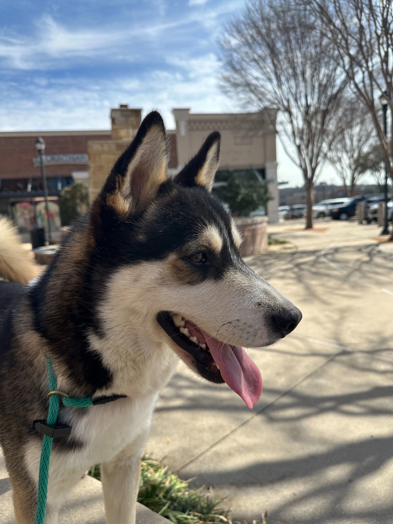 Enzo *Foster Needed*