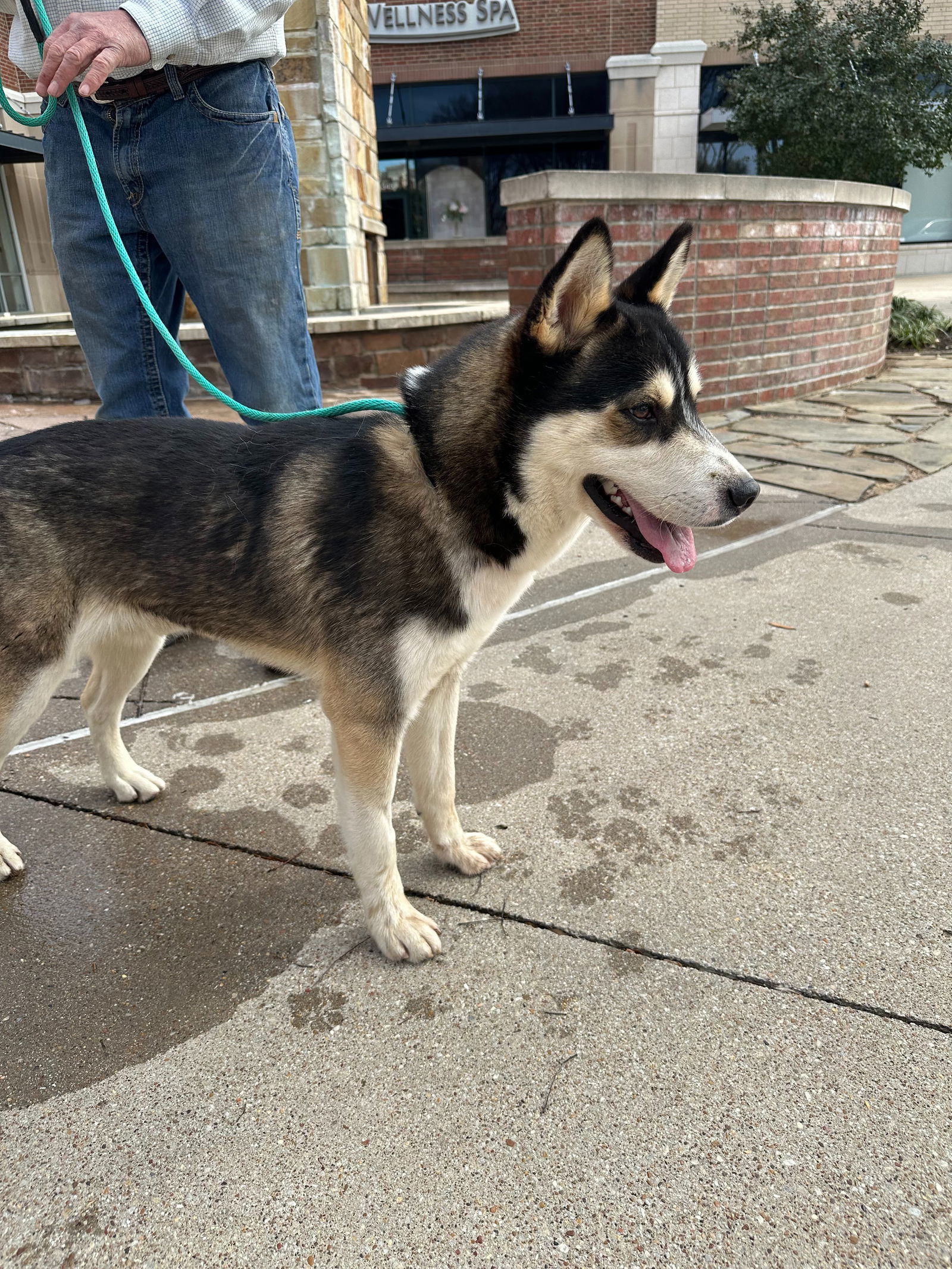 Enzo *Foster Needed*