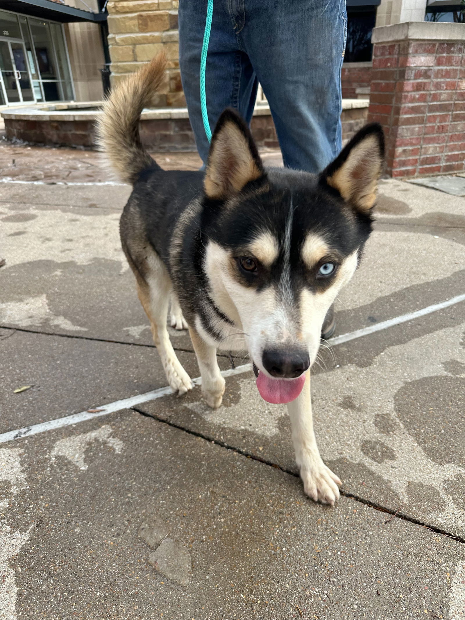 Enzo *Foster Needed*