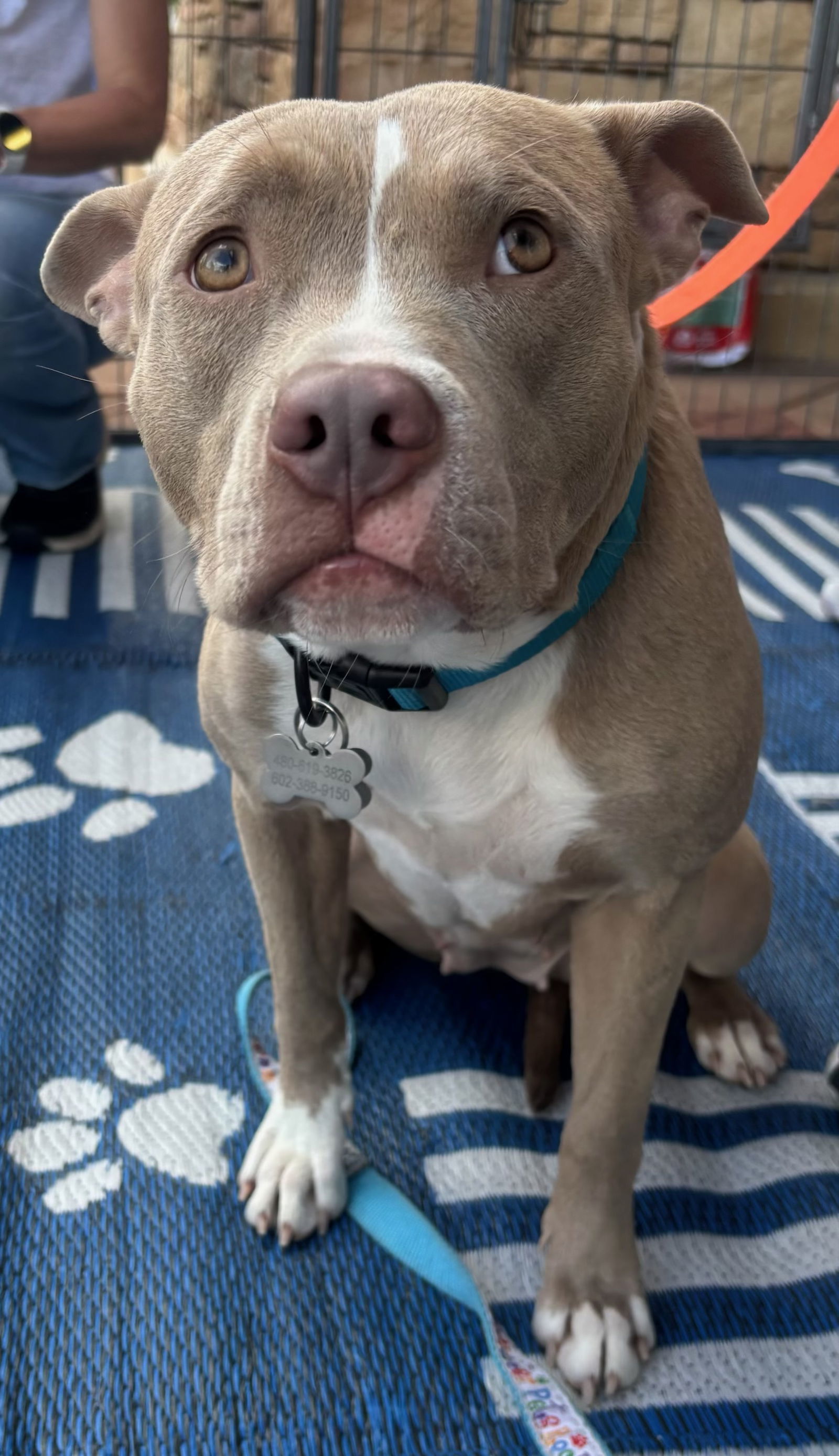 Shiloh