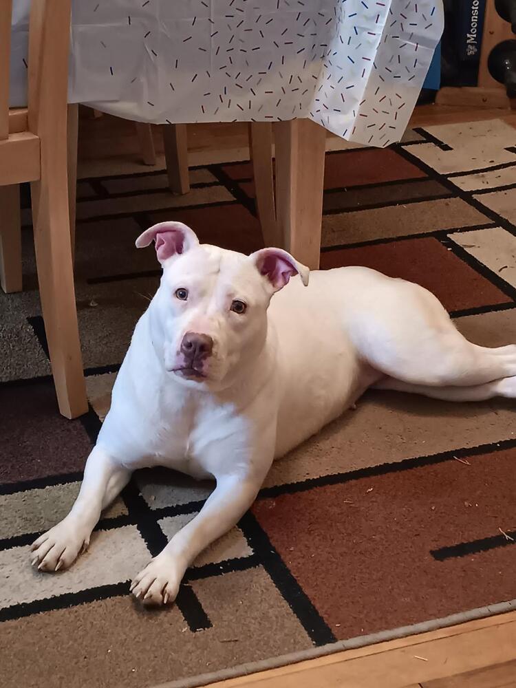 Athena