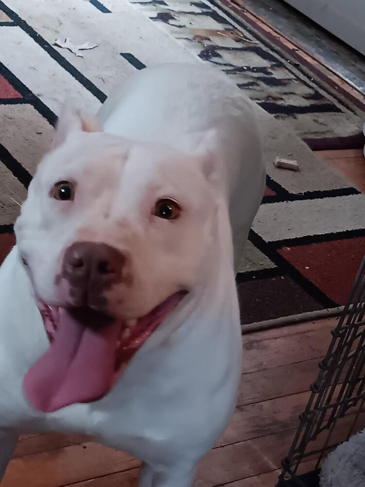 Athena