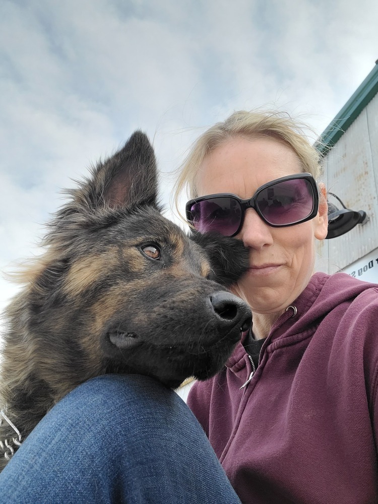 Luna, an adoptable German Shepherd Dog in Suamico, WI, 54173 | Photo Image 2