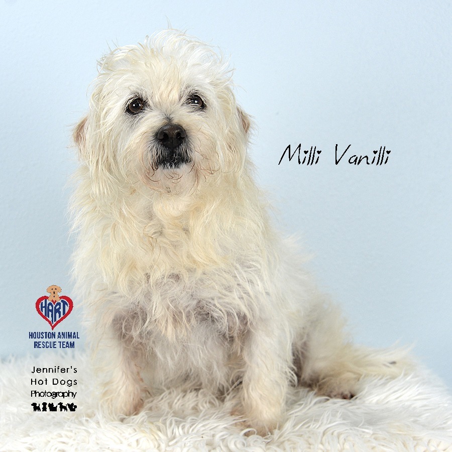 Milli Vanilli