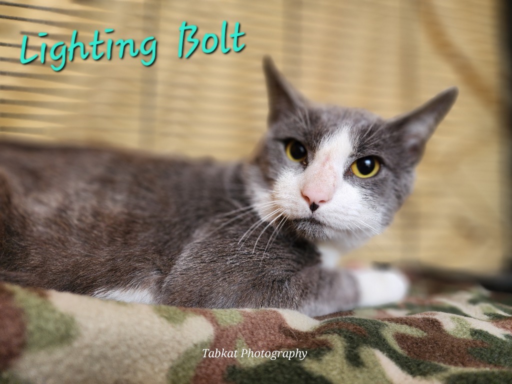 Lightning Bolt