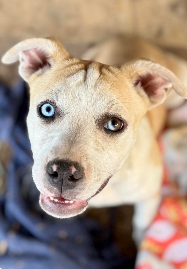 Birdie Mae Tucker