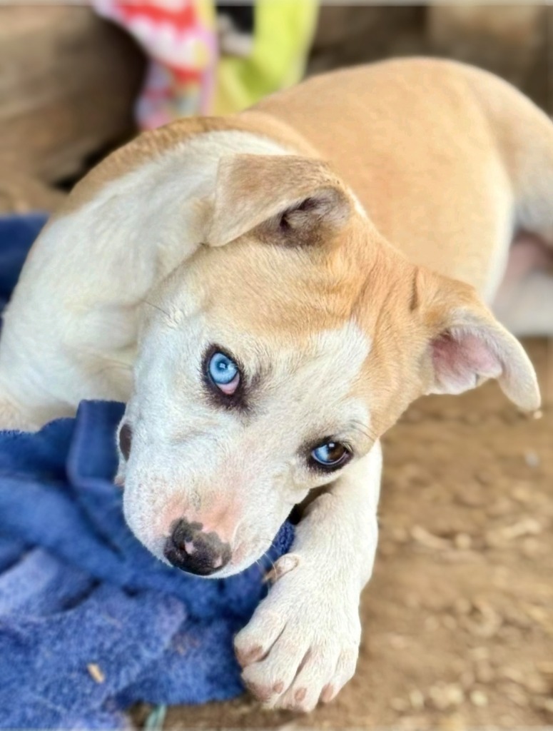 Birdie Mae Tucker