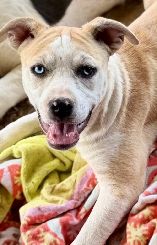 Birdie Mae Tucker