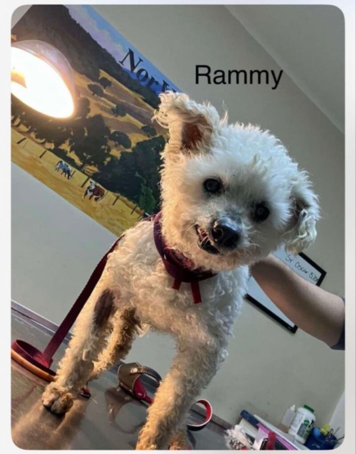 Rammy 4