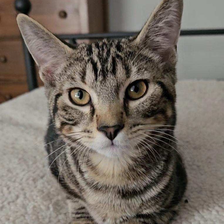 William