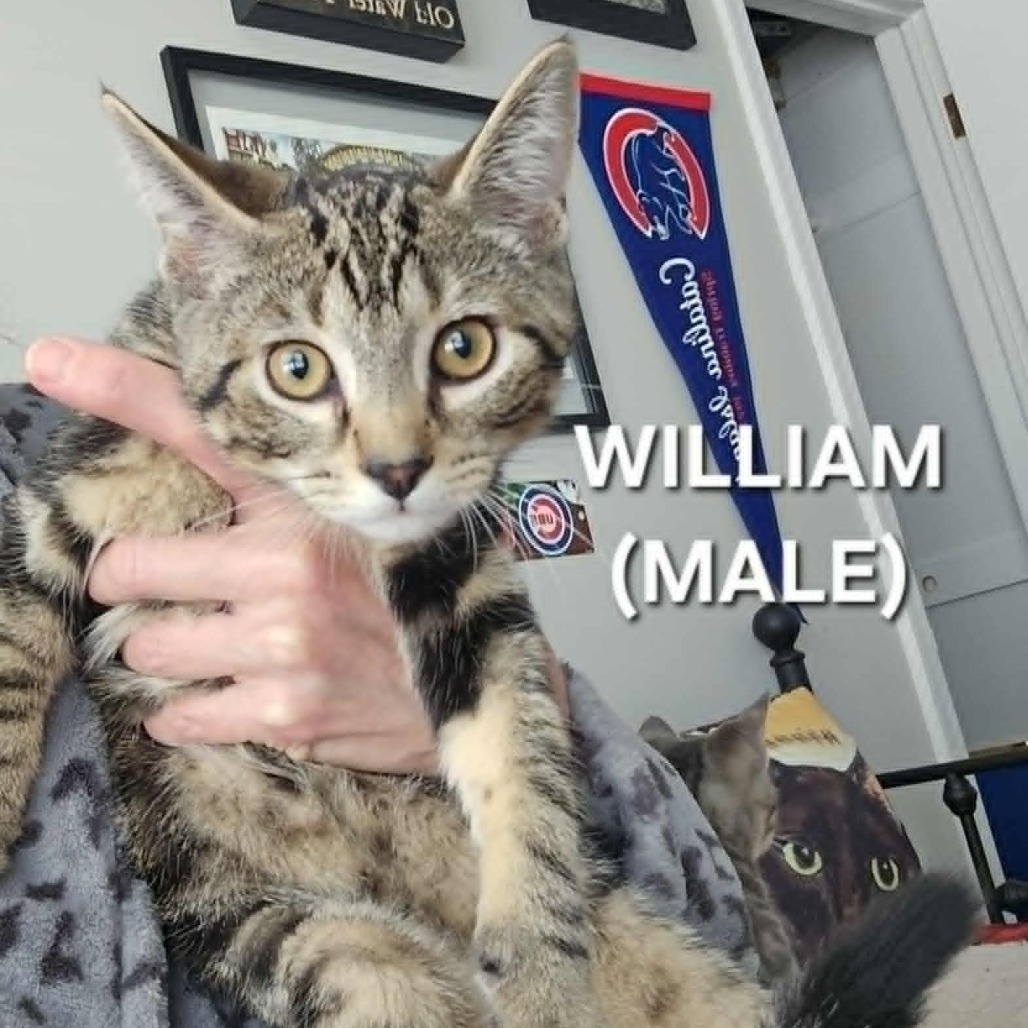 William