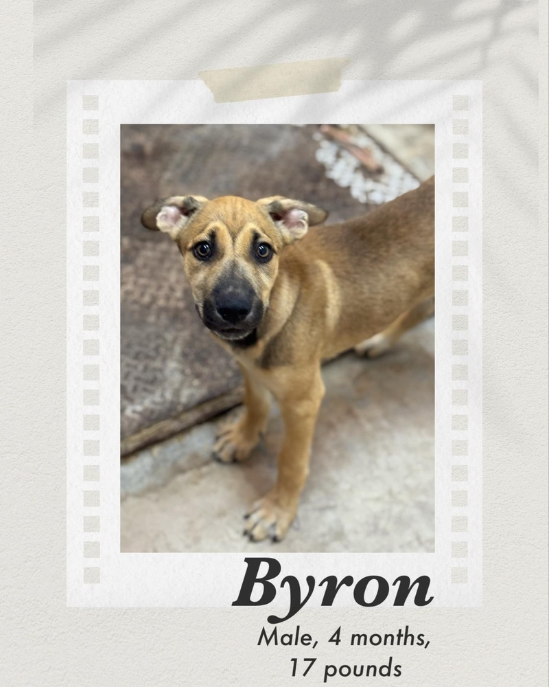 Byron
