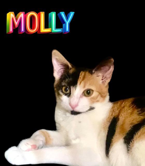 Molly