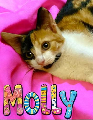Molly