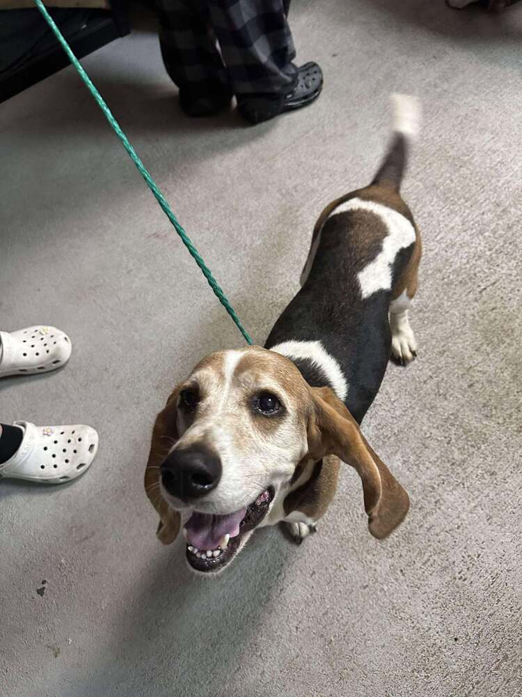 Bonnie