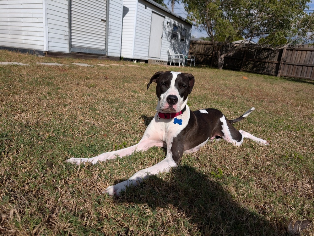 Max (Snoop Dogg)
