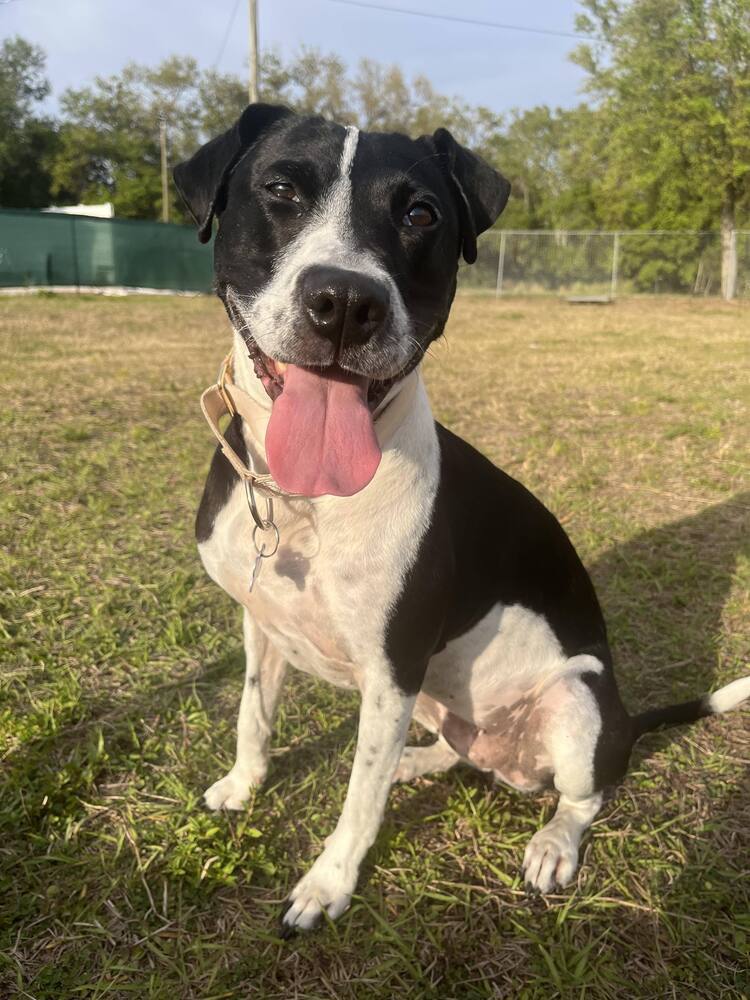 Bella