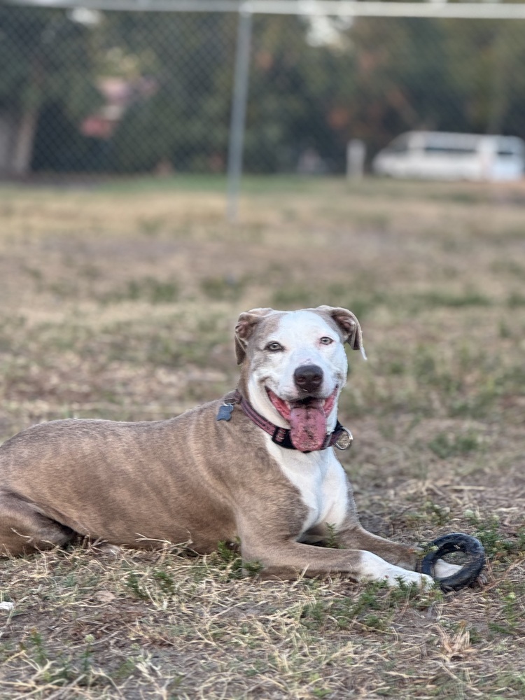 Maggie