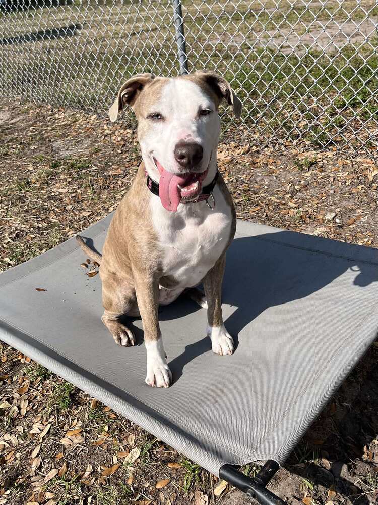 Maggie