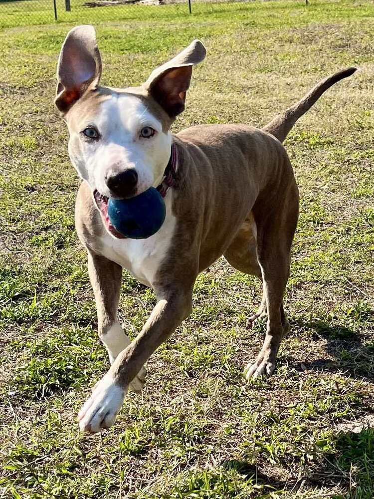 Maggie