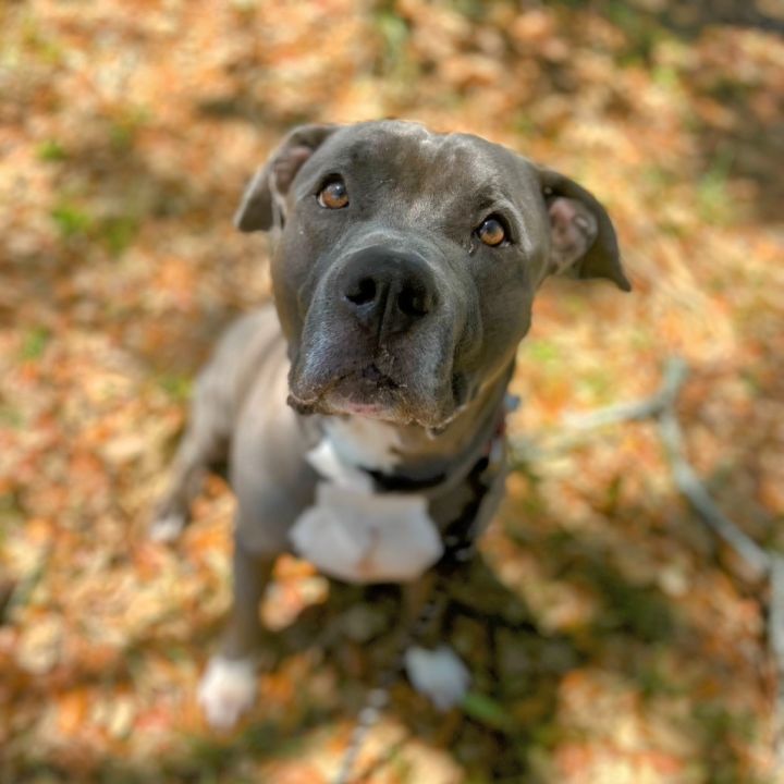 Sampson 3