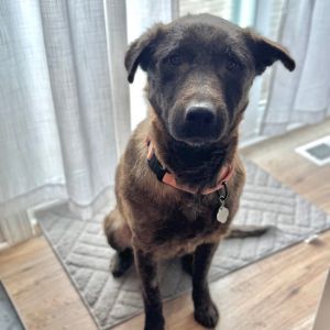 Fiona