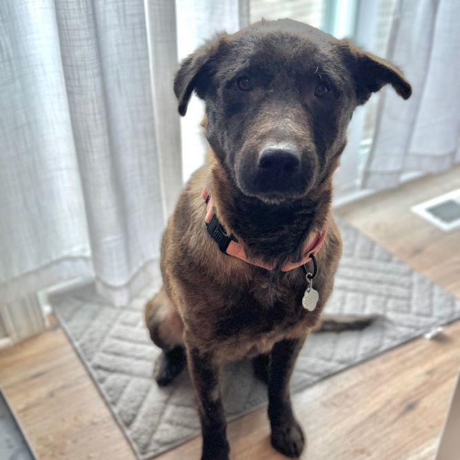 Fiona