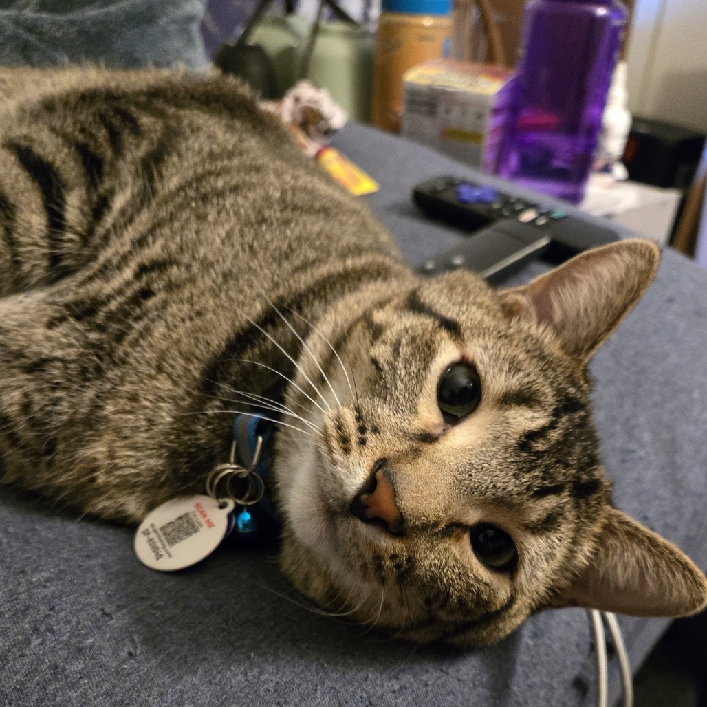 Gizmo