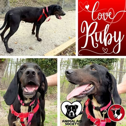 Ruby